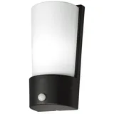 ECO-Light Außen-Wandleuchte 1841-PIR-GR Alu Außenwandleuchte PINO anthrazit