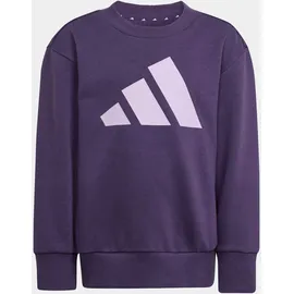 adidas Trainingsanzug ADIDAS SPORTSWEAR "LK BL FL JOG", Jungen, Gr. 128, aurora plum, powder plum, Obermaterial: 70% Baumwolle, 30% Polyester, Sportanzüge Trainingsanzug