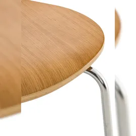 CLP Diego 16 St. eiche