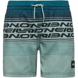O'Neill Logo Stripe Badeshorts Grün 164