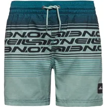 O'Neill Logo Stripe Badeshorts Grün 164