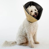 All Four Paws „The Comfy Cone“ Halskrause für Haustiere