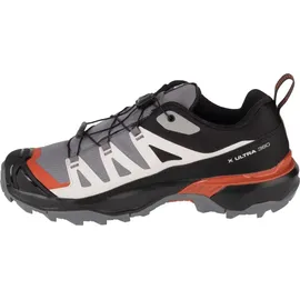 Salomon X Ultra 360 GTX Herren Quiet Shade / Black / Spice Route 42