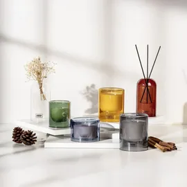 Schöner Wohnen Raumduft Lemongrass 130 ml
