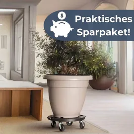 GarPet 2er Set Transportroller Rollbrett Transportrollen Rollbrett Werkstatt Pflanzen Rollbretter Transport Möbelrollen flach Pflanzenroller rund Transporthilfe