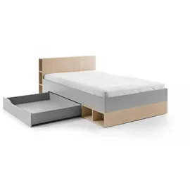 Deine Möbel 24 Jugendbett OLAF 06 120 x 200 cm Eiche grau