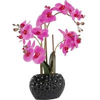 Leonique Kunstpflanze »Orchidee«, Kunstorchidee, im Topf, Kunstpflanzen, 54064439-0 lila/schwarz B/H: 20 cm x 55 cm