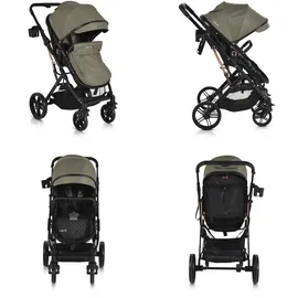 Moni Kombikinderwagen Rafaello 2 in 1, umbaubar, Sportsitz, Fußabdeckung, Tasche grün