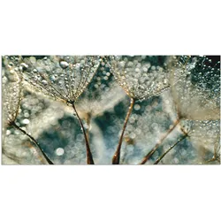 Wandbild ARTLAND "Pusteblume Regenschauer", grau (farbe bild(er): grau), B:100cm H:50cm, Bilder, als Alubild, Outdoorbild, Leinwandbild, Poster, Wandaufkleber