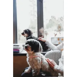 Hunter Soho Mini Hundegeschirr Pink XXS-XS
