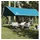 vidaXL Tarp 500 x 294 cm Blau