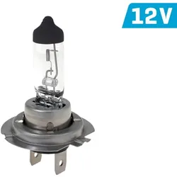 Vision H7 Glühlampe Licht Halogen Autolampe 12V 55W PX26D E4