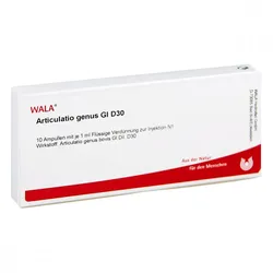 Articulatio Genus Gl D30 Ampullen