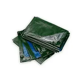 Bio Green Abdeckplane Rainexo, 150 g/m2, 10x15 m, grün/blau