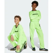 Reebok Adicolor Firebird Hose Grün