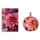 Ellen Tracy Dream Florals Pink Daisy Eau de Parfum 100 ml