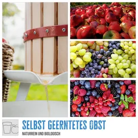 Güde Obstpresse OP 6 6 l Holzfarbe/Braun