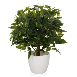hjh OFFICE Kunstpflanze FICUS II Kunststoff