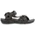 Jack Wolfskin Lakewood Ride Herren cold coffee 48