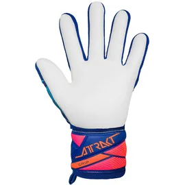 Reusch Attrakt Grip Blau 9