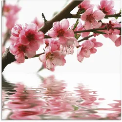 Glasbild ARTLAND "Pfirsichblüten reflektieren im Wasser", pink (farbe bild(er): pink), B:20cm H:20cm, Bilder, in verschiedenen Größen