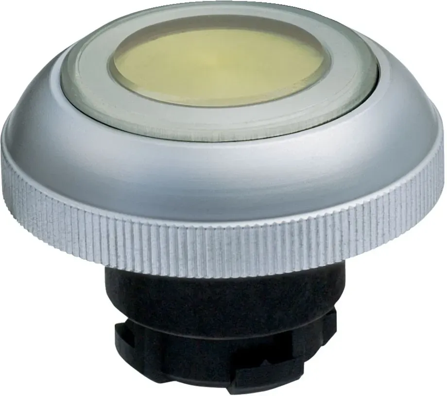 Schmersal Leuchtdrucktaster RDLGB