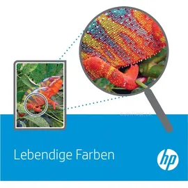 HP 13A schwarz (Q2613A)