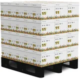 infowerk Druckerpapier A4 80 g/m2 150000 Blatt