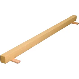 Sport-Thieme Sport-Thieme, Turngerät