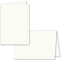 200x faltbares Einlege-Papier für B6 Doppelkarten - transparent-weiß - 163 x 224 mm (112 x 163 mm gefaltet) - ideal zum Bedrucken mit Tinte und Laser - hochwertig mattes Papier von GUSTAV NEUSER