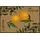 Wash+Dry Le Citron 50 x 75 cm Beige/Gelb