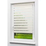 Lysel Doppelrollo LYSEL 60 x 150 cm beige