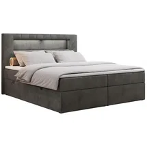 MKS Boxbett, GOLD-5 Led, 160/200 Dunkelgrau Velvet - H4