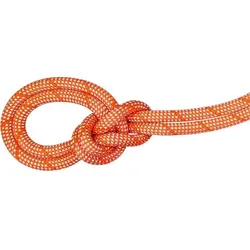 Mammut 9.8 Crag Classic Rope classic standard (01176) 60 m