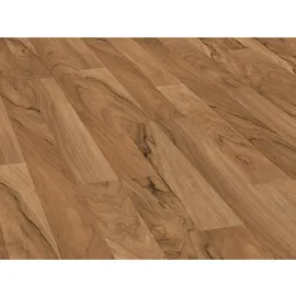 Parador Basic 200 Nussbaum