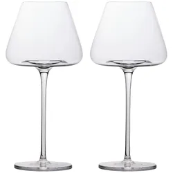 Intirilife 2x Wein Glas mit modernem Design - 600 ml Füllmenge - Weißwein Rotwein Glas Kelch Spülmaschinenfest Kristallglas stoßfest