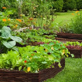 urfence Beeteinfassung Weide 100 x 30 cm 10 Stück braun