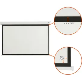 Celexon Batterie Leinwand V2.0 Motor Professional Plus 240 x 180 cm