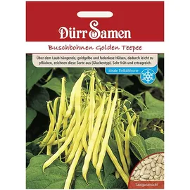 Dürr-Samen - Buschbohnen Golden Teepee Saatgut