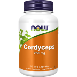 Cordyceps 750 mg