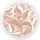 AGE20's AGE 20's Signature Essence Cover Pact M #13 (14g x 2)