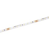 lampenwelt.de Radium Essence 1000 LED-Strip, 5 m, 40W, 6.500K