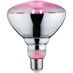 PAULMANN Grow Green, 6,5 W, E27, 200 lm, 15000 h