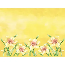 Mank Tischset aus Airlaid - Elvira, 40 x 30 cm, 100 Stück - Floral Osterglocken Narzissen Blumen Platzdeckchen