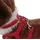 Epee EP Samba Hund Interaktiv 03197