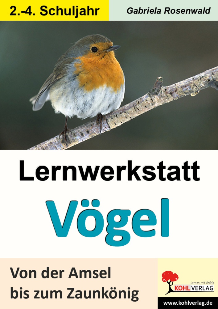 Lernwerkstatt / Lernwerkstatt Vögel - Gabriela Rosenwald  Kartoniert (TB)