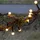 Star Trading LED-Lichterkette Berry Mini 6 m Schwarz Warmweiß