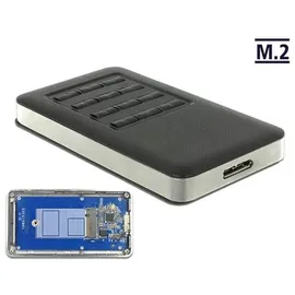 DeLock - M.2 Key B 42 mm SSD USB 3.0