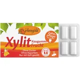 Birkengold Xylit Kaugummi Frucht (12St)
