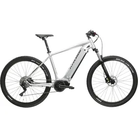 KROSS Hexagon Boost 3.0 2023 29 Zoll RH 41 cm Unisex silber